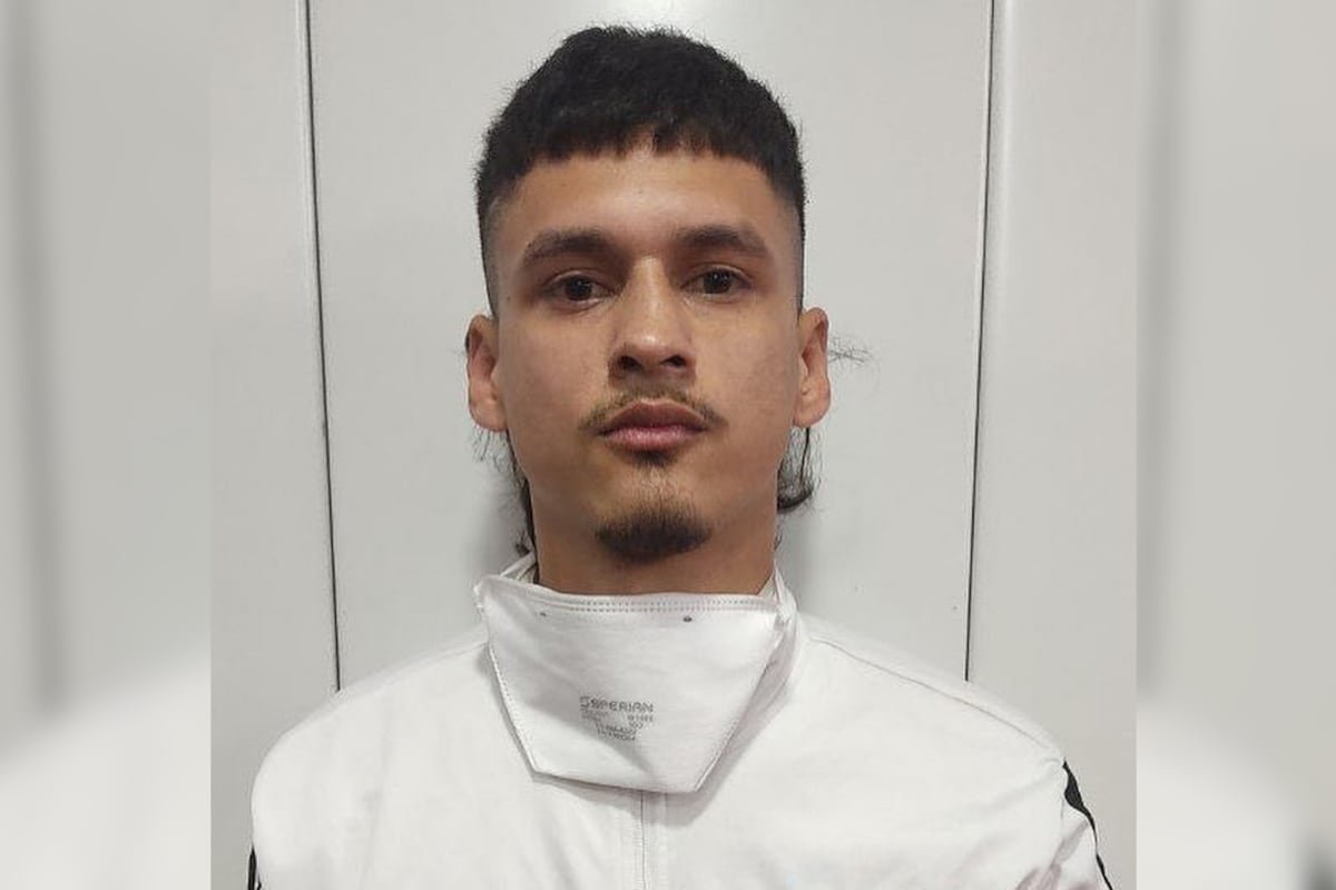 Angel Cárdenas Bravo: Venezuela detiene a un ‘influencer’ deportado por Trump, famoso por insultar a Diosdado Cabello desde el exilio Angel Cárdenas Bravo: Venezuela detiene a un ‘influencer’ deportado por Trump, famoso por insultar a Diosdado Cabello desde el exilio